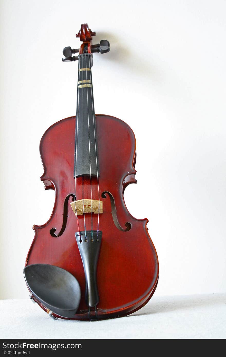 Violin in white background