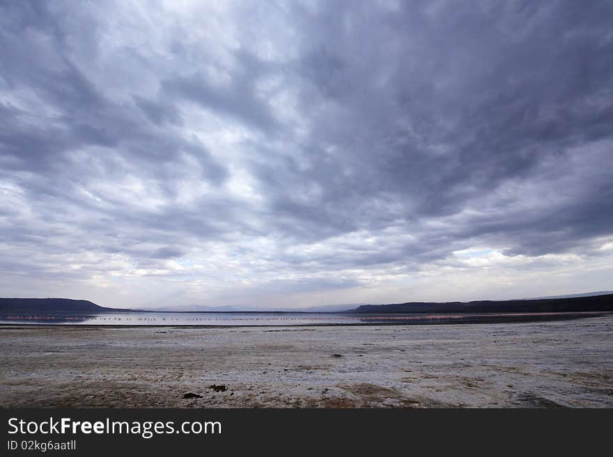 Landscape in the nature reserve with pink Lesser Flamingos on the lake on a beautiful overcast day in South Africa