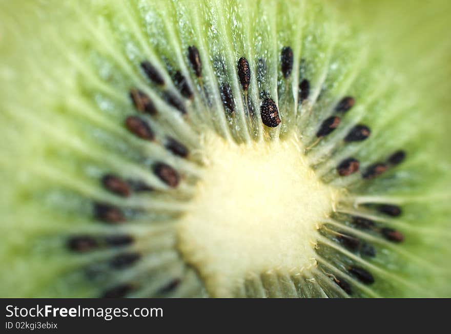 Kiwi