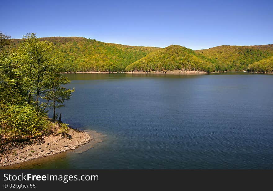 Allegheny national forest