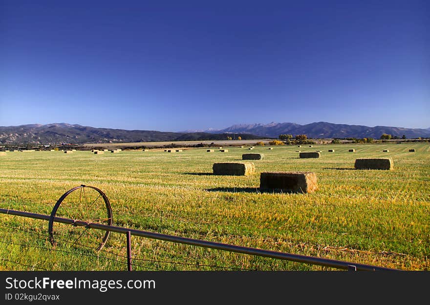 Hay bales in the field