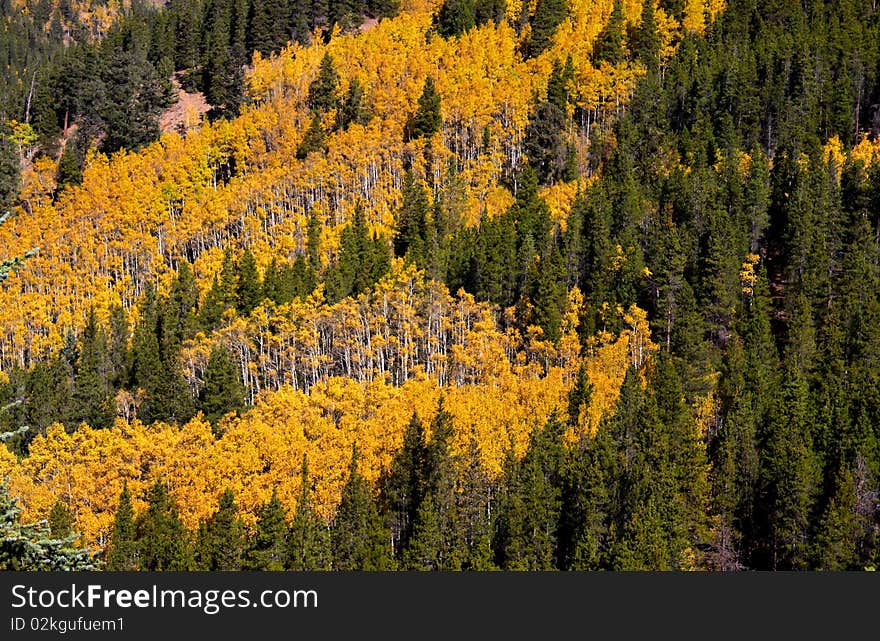 Autumn landscape in Colorado San Juan mountains