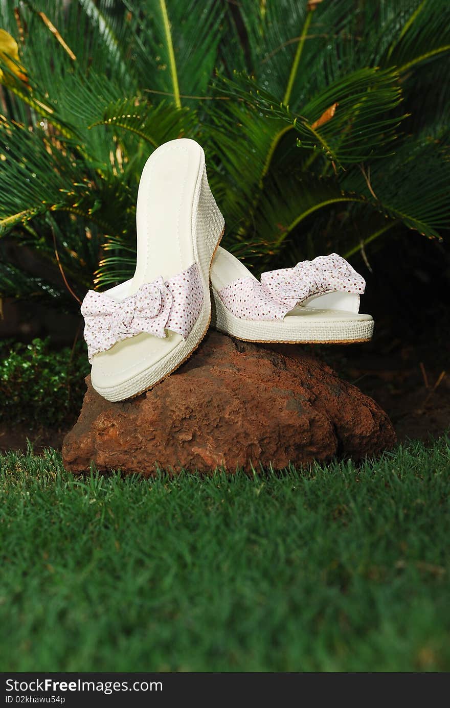 This is a beautiful ladies summer shoes in a garden.