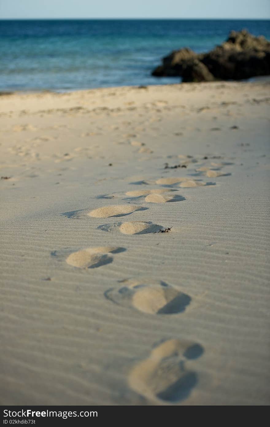 Foot Prints