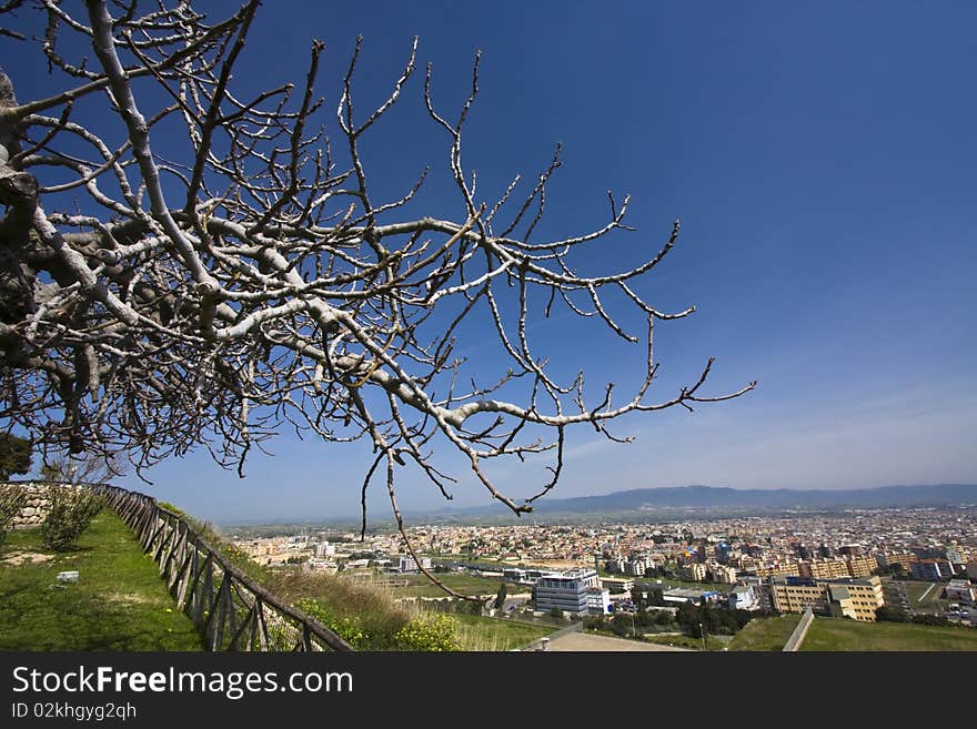 View of Cagliari city