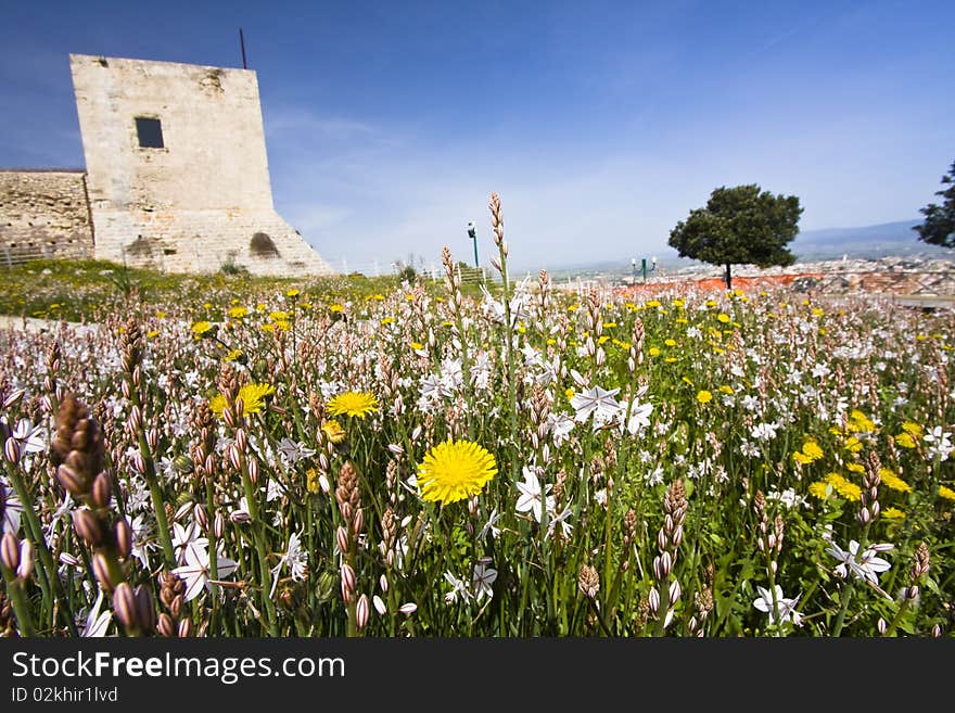 Medieval castle garden