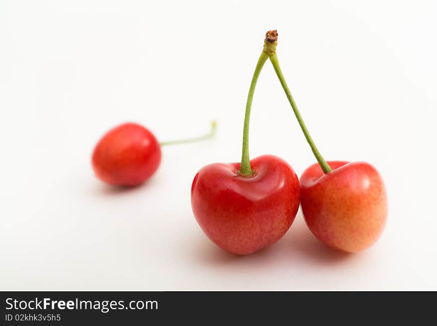 Red cherries on white background