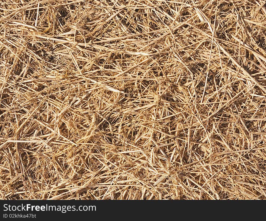 Straw mulch used to inhibit growth of weeds in flowerbeds or as animal bedding on farms. Straw mulch used to inhibit growth of weeds in flowerbeds or as animal bedding on farms