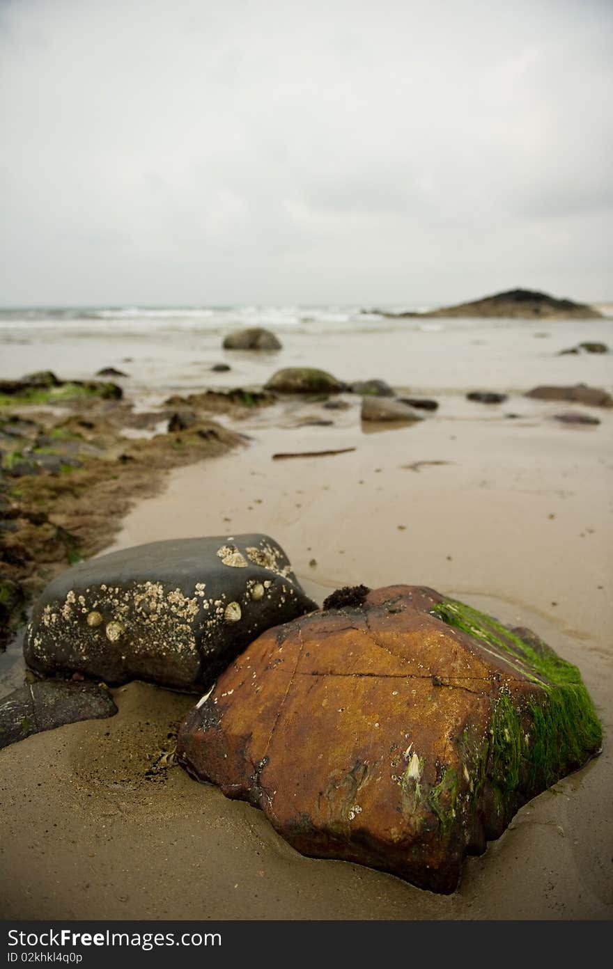 Rock and shells