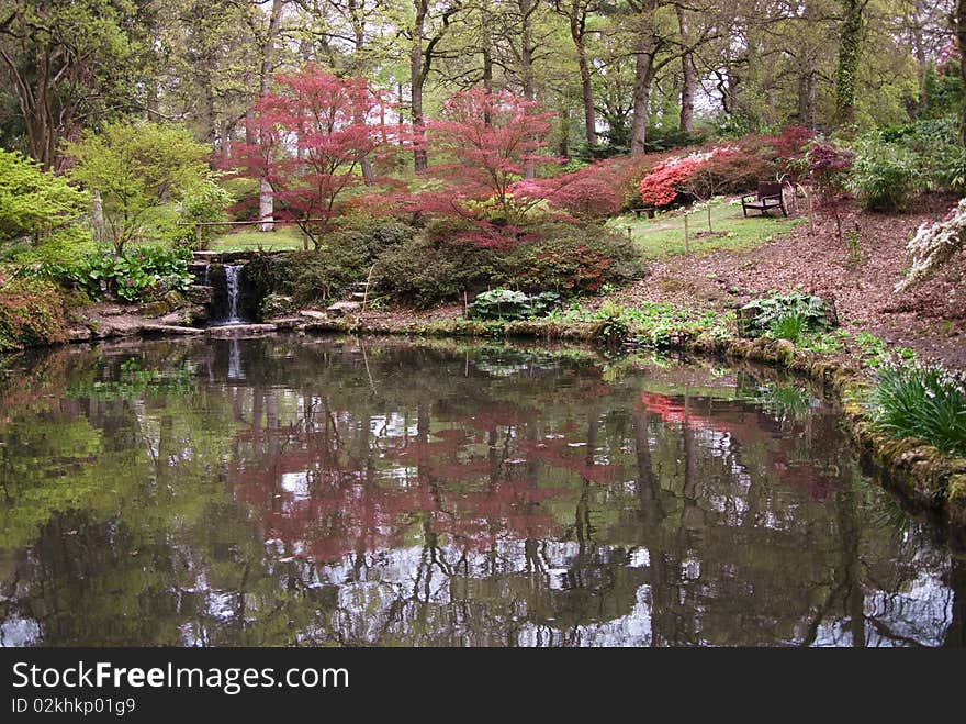 Tranquil lake reflecting trees and shrubs coming into leaf, some blooming in early Spring. Tranquil lake reflecting trees and shrubs coming into leaf, some blooming in early Spring