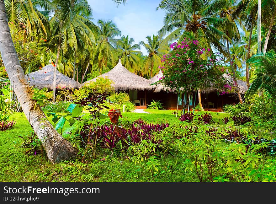 Bungalows and flowers - vacation background