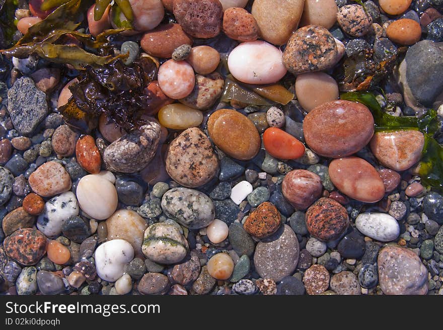 Wet each pebbles at low tide. Wet each pebbles at low tide.