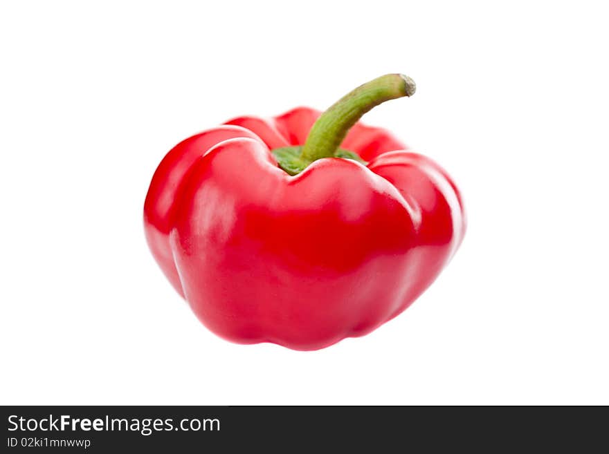 Red Paprika on white background