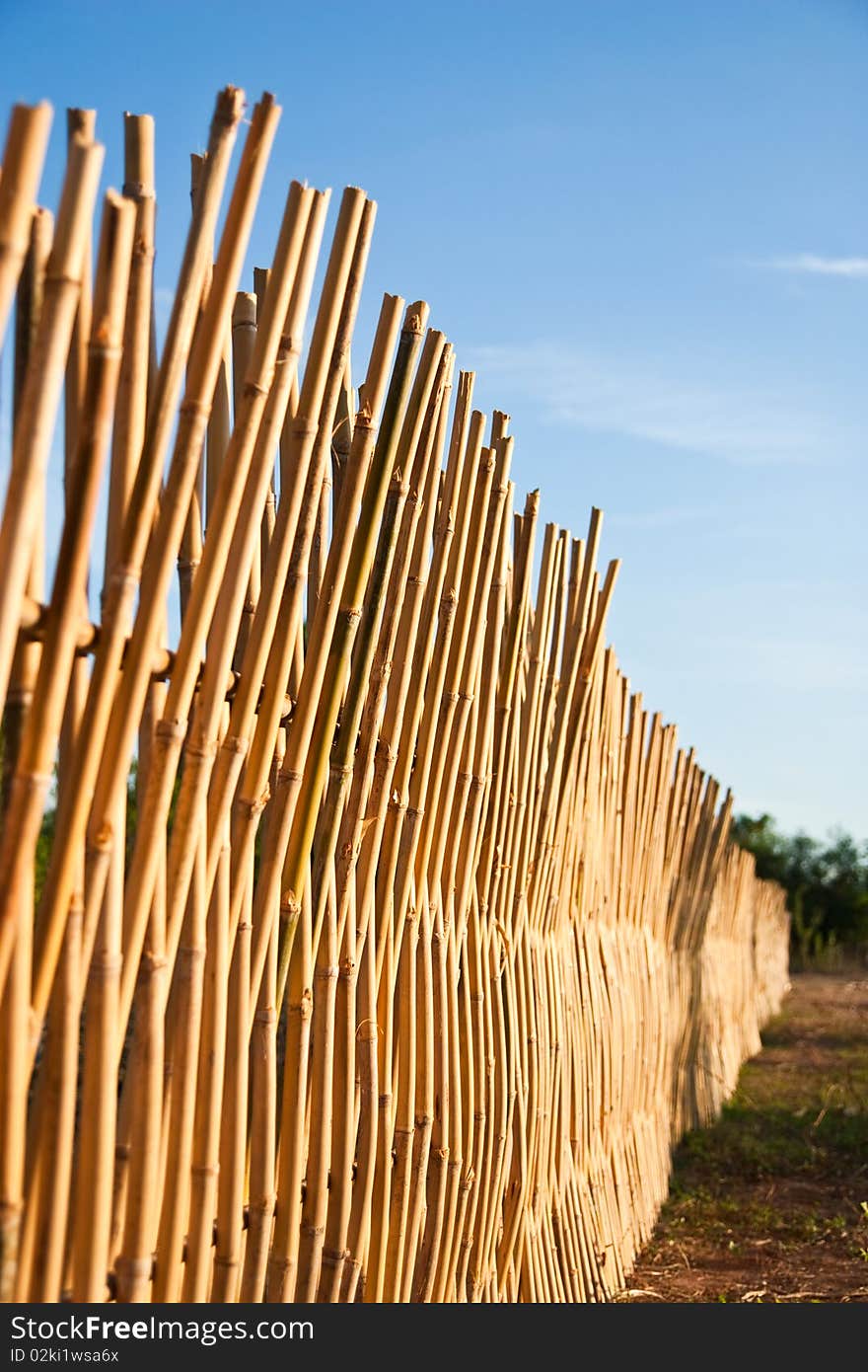 Bamboo fencing of vegetable plantations. Bamboo fencing of vegetable plantations.