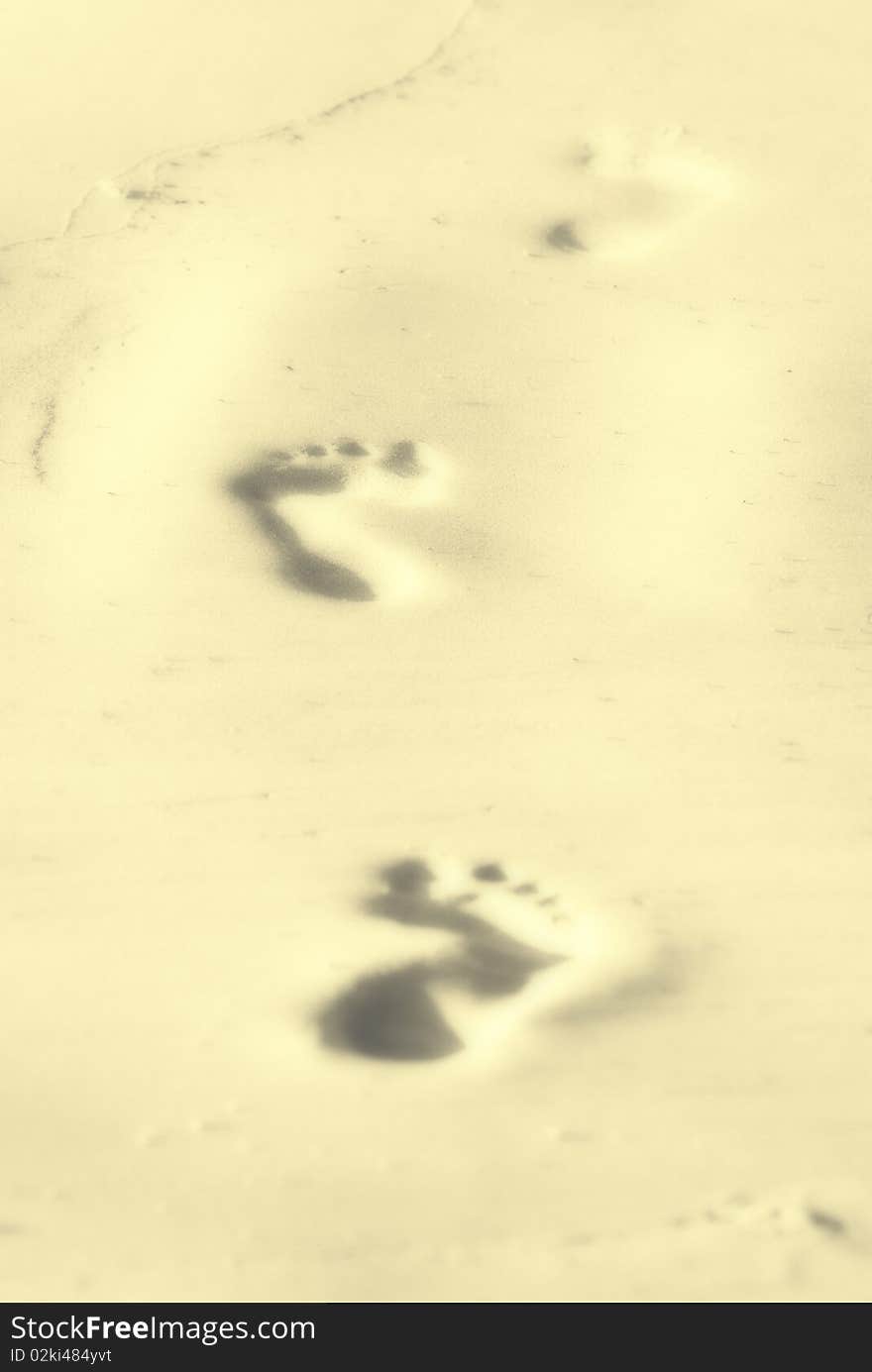 Footsteps in sand on a caribbean island, suitable for vacation and travel broshures and web sites