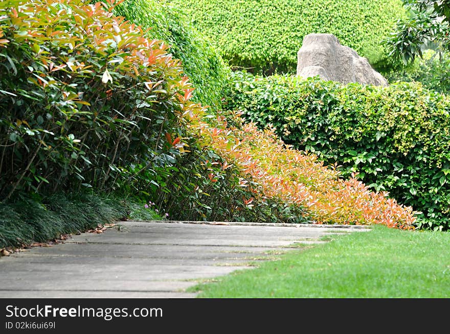 Bush With Red Leaf And Path