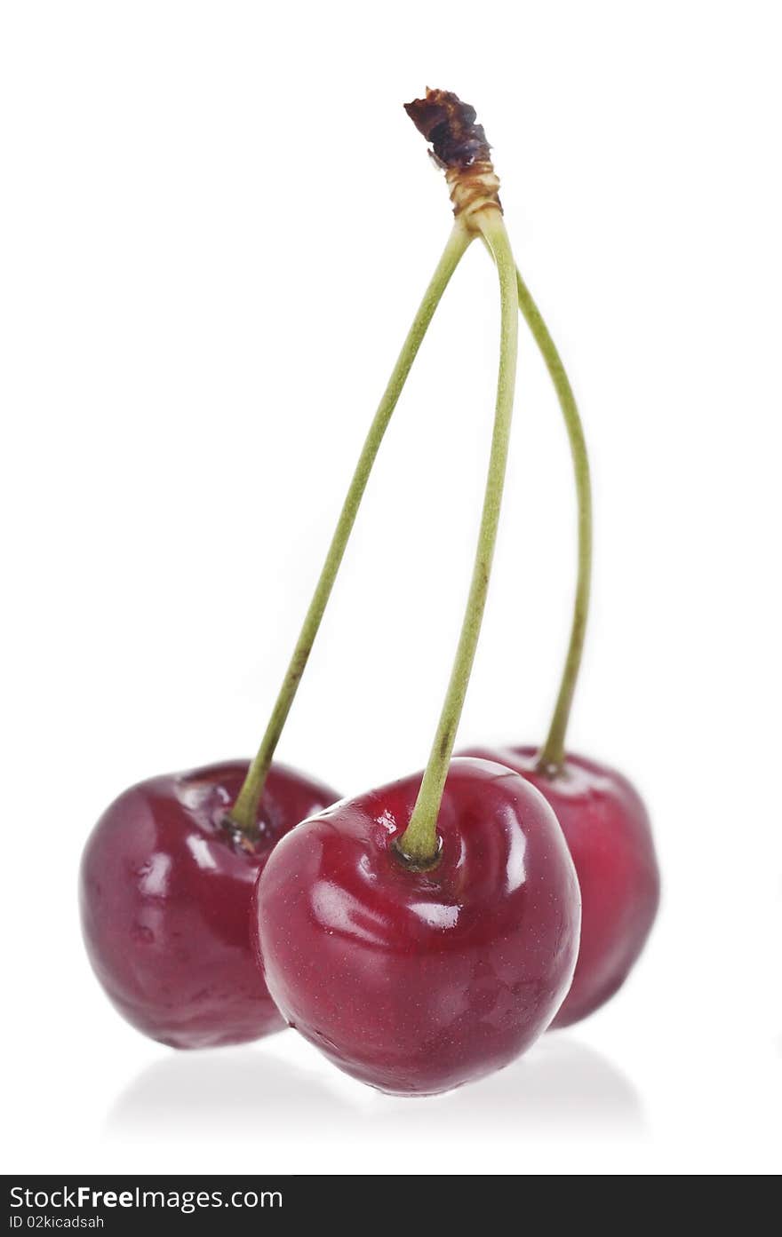 Three delicious Cherries on a white background (with clipping path)