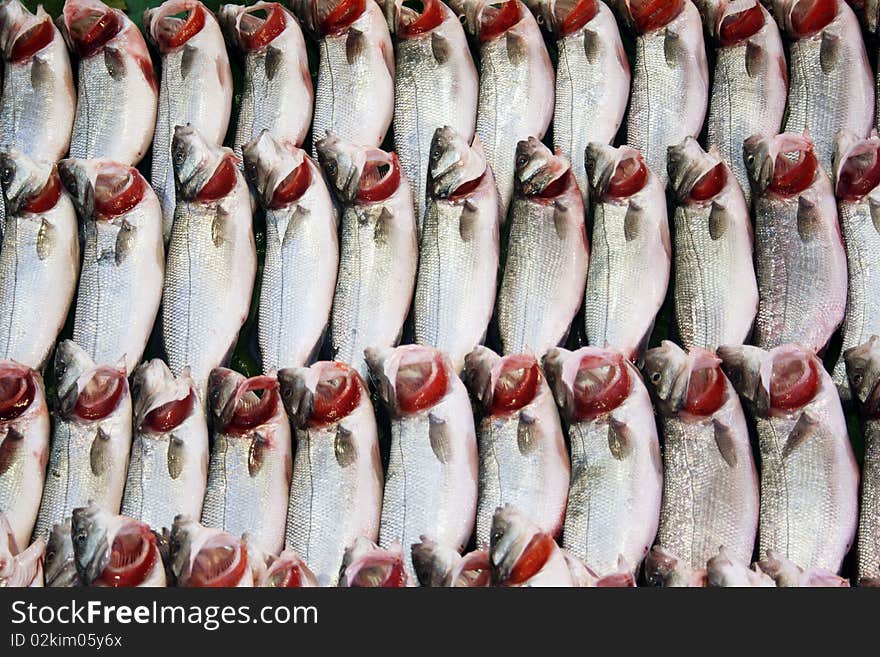 Raw Fish Background