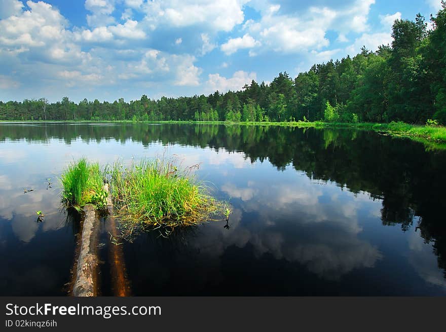 Lake in the forest with a tiny island, sunny day