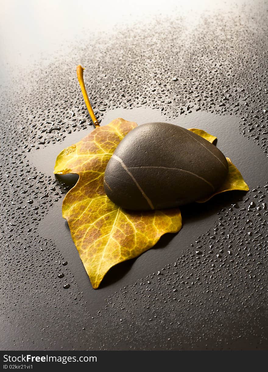 Leaf And Stone