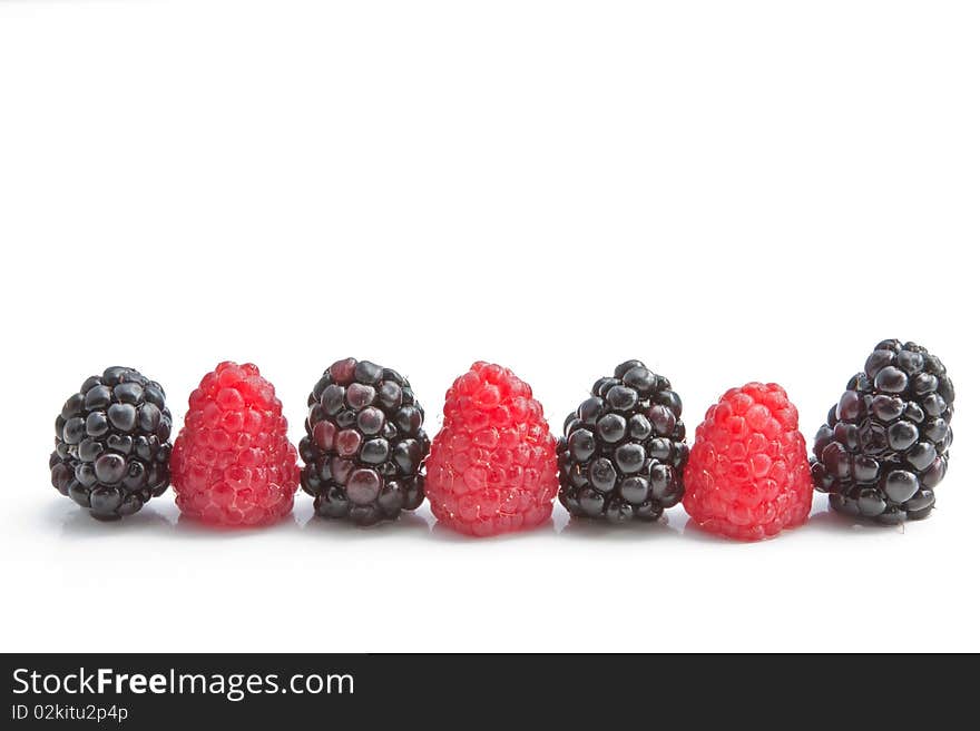 A row of raspberries & blackberries forming a border. A row of raspberries & blackberries forming a border