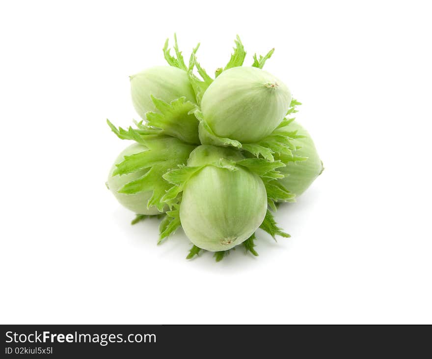 Group of fruits of a green nut tree on a white background. Group of fruits of a green nut tree on a white background.