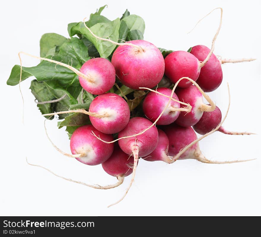 Bunch of radishes