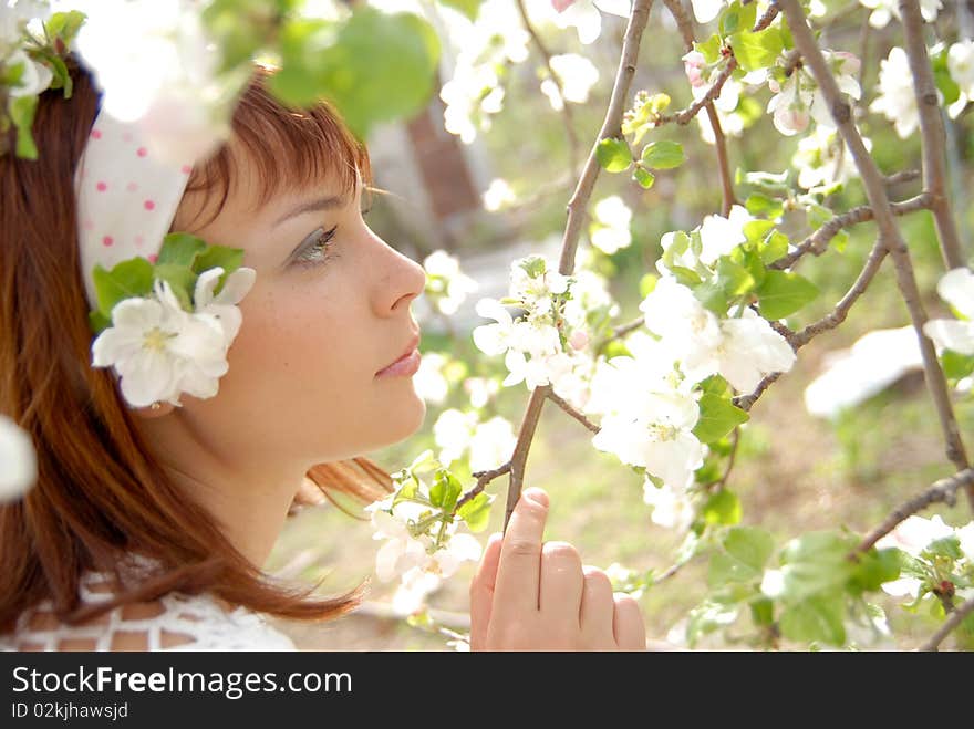 Beautiful young girl in profile looks at the beautiful flowers of apple tree. Beautiful young girl in profile looks at the beautiful flowers of apple tree