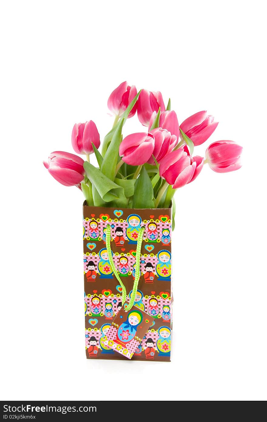 A bouquet of dark pink tulips in a babushka giftbag isolated over white