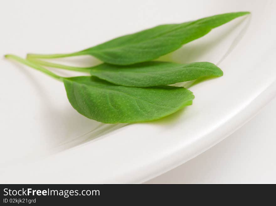 Thai basil leaves on a plate with with background