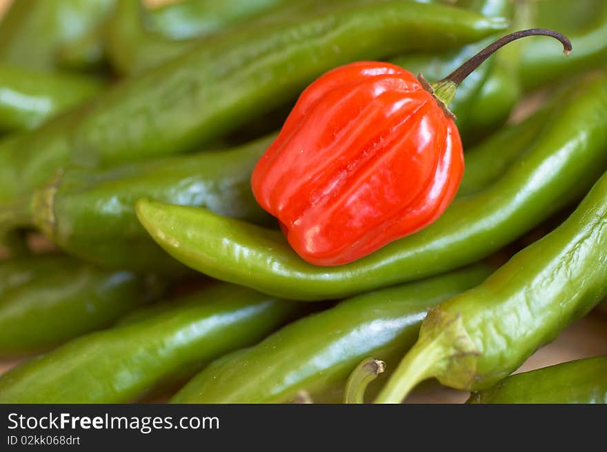 Red, Scotch bonnet chili on a pile of green chilis. Red, Scotch bonnet chili on a pile of green chilis