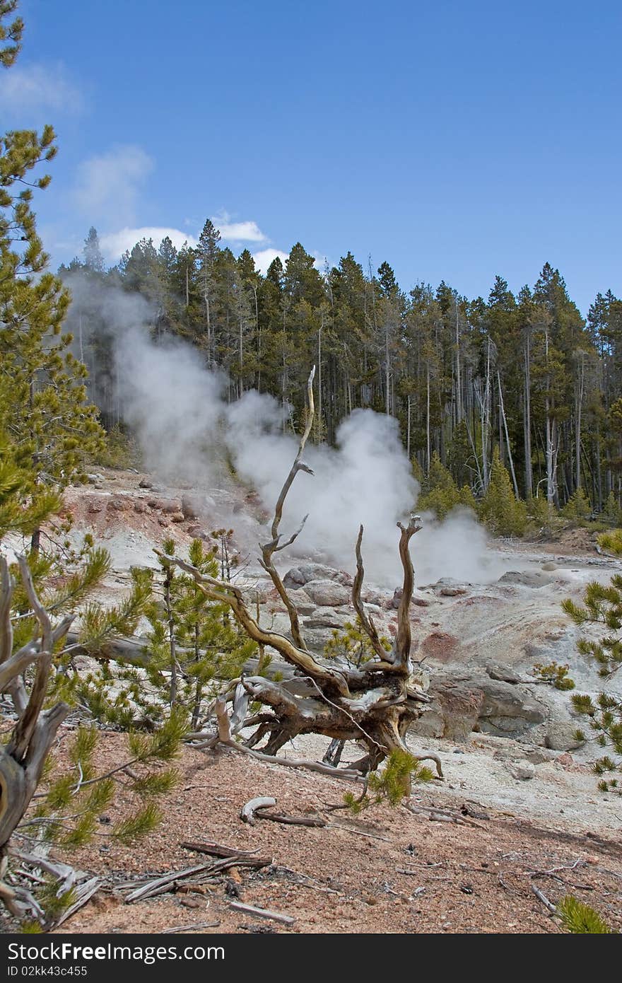 A hot spring at Yellowstone Nat'l Park, Wyoming. A hot spring at Yellowstone Nat'l Park, Wyoming