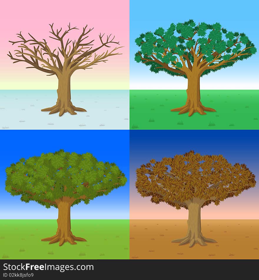 A tree during the four regular seasons of the year: Winter, Spring, Summer, and Autumn. A tree during the four regular seasons of the year: Winter, Spring, Summer, and Autumn.