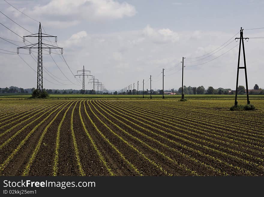 Lines And Landscap