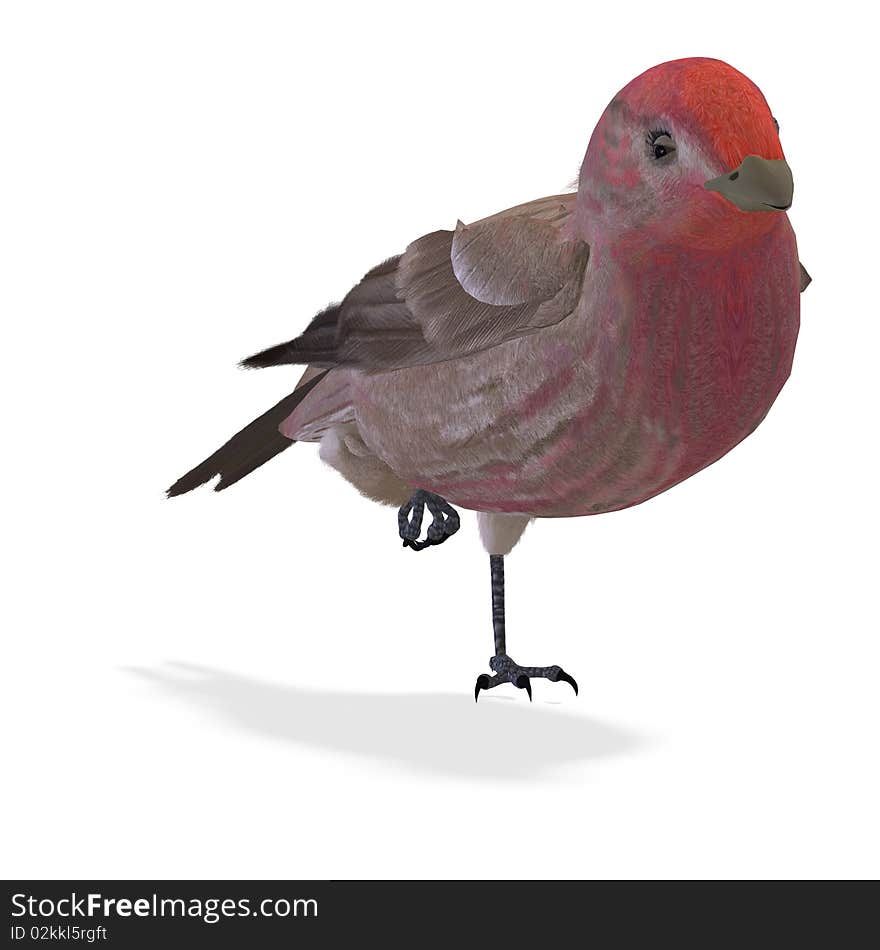 Bird Purple Finch Male. 3D rendering with clipping path and shadow over white