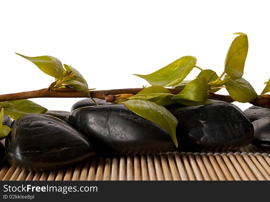 Branch Of Tree With Leaves, Stones And Mat