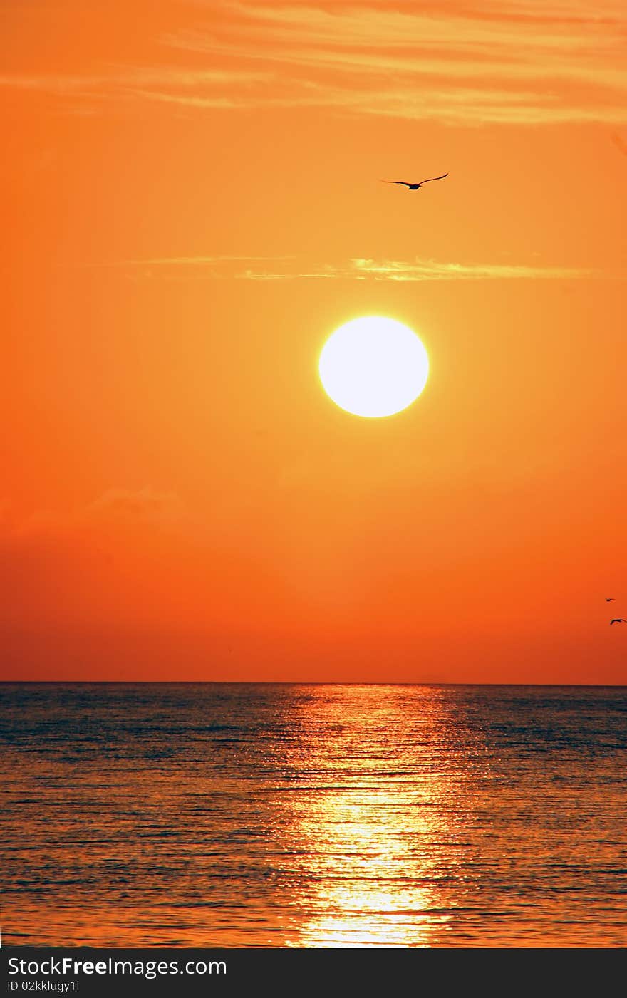 A beautiful sunrise on Sanibel Island Florida