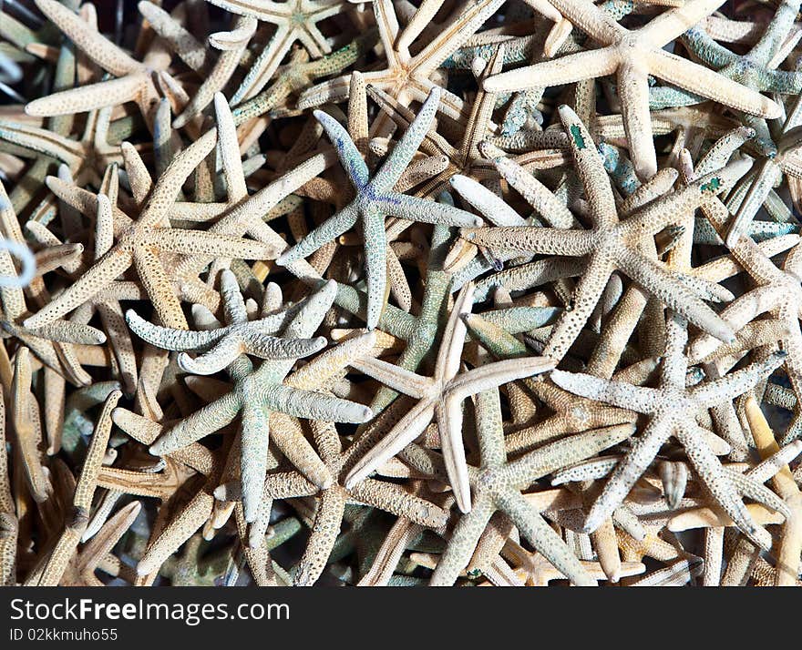 Background texture image of piled pink and grey dried starfish. Background texture image of piled pink and grey dried starfish