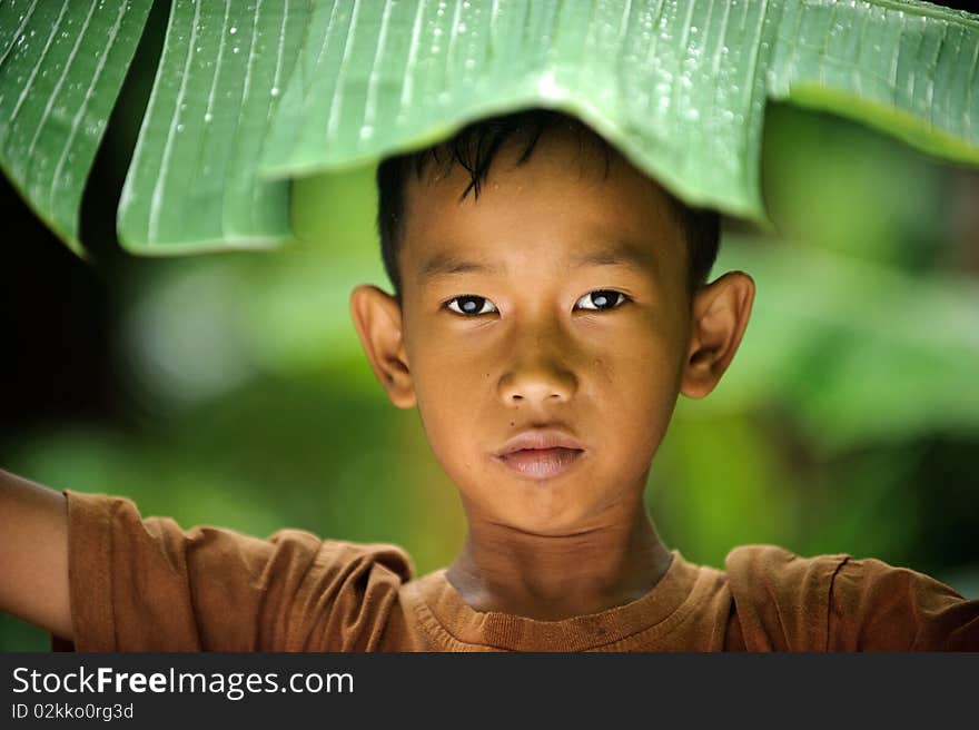 Outdoor portrait  of Indonesian boy hiding from rain under banana leaf . Outdoor portrait  of Indonesian boy hiding from rain under banana leaf