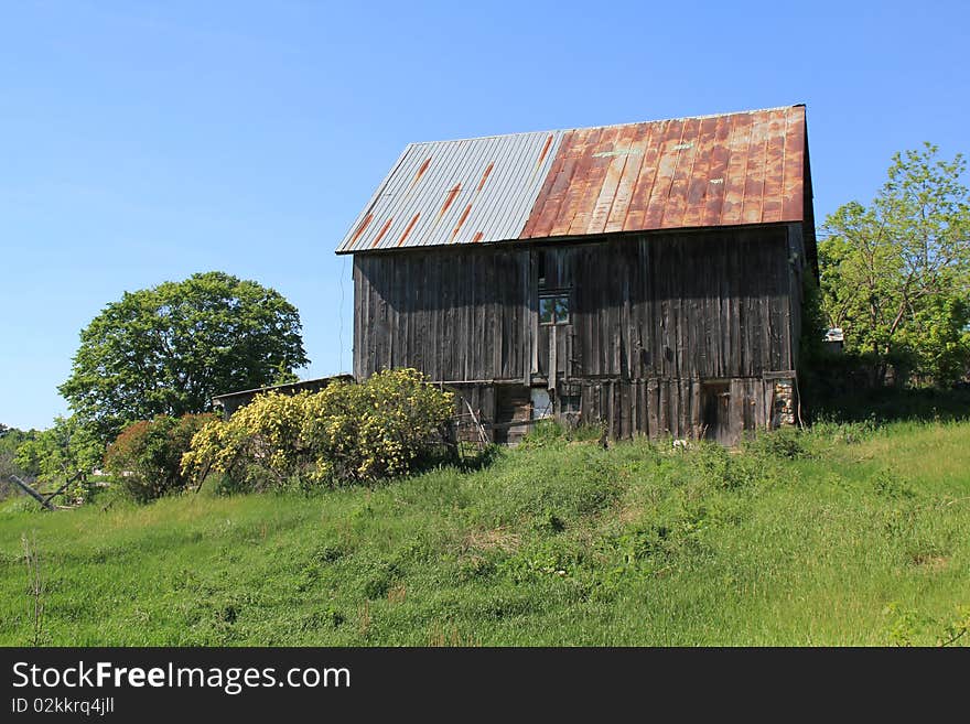 Old Wood Barn With Roses