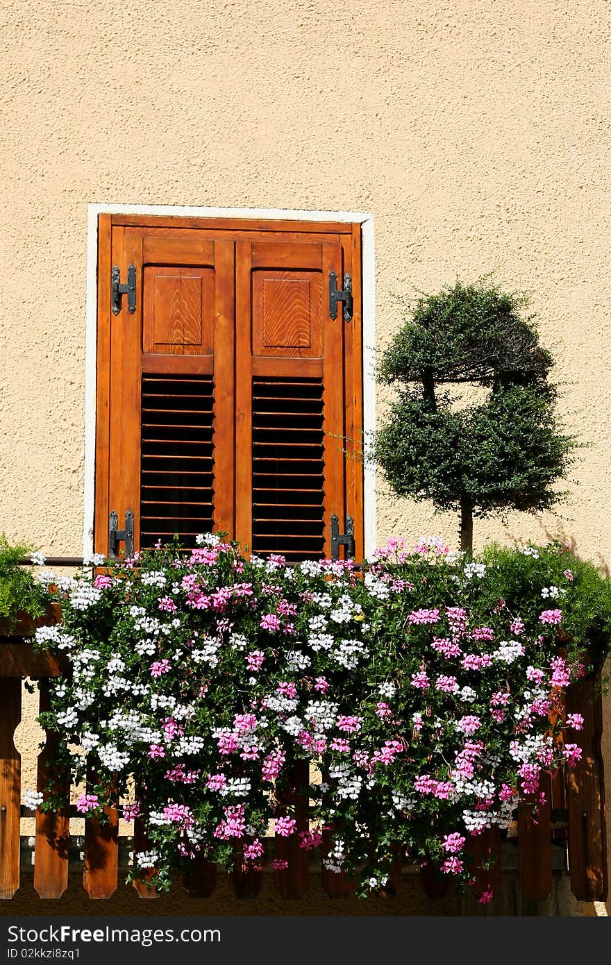 An image of window and flowers under it. An image of window and flowers under it