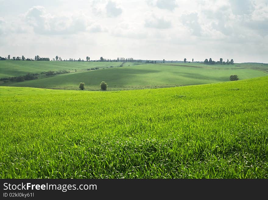 An image of bright green hills in spring