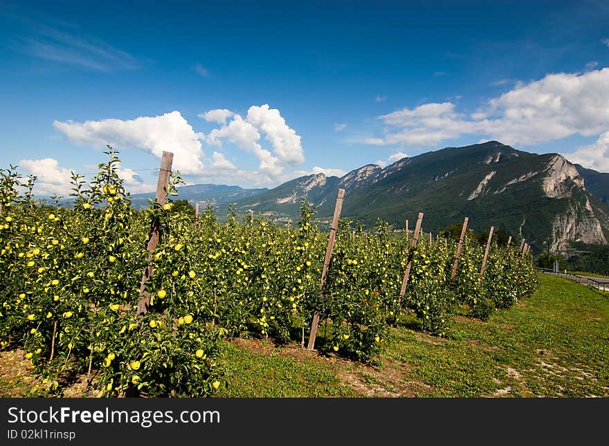 Apples and mountains