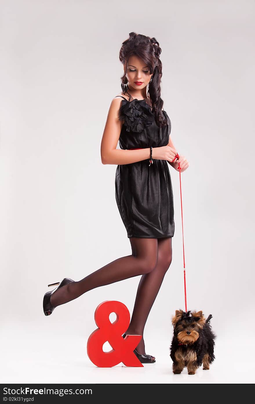 Young beautiful brunette woman in a black dress with a Yorkshire terrier. Young beautiful brunette woman in a black dress with a Yorkshire terrier