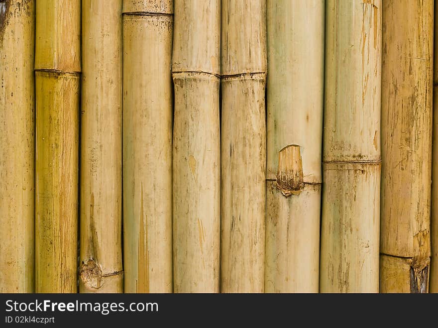 Close up of bamboo wall