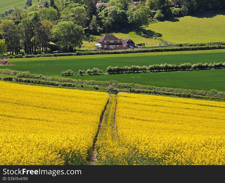 An English Rural Landscape