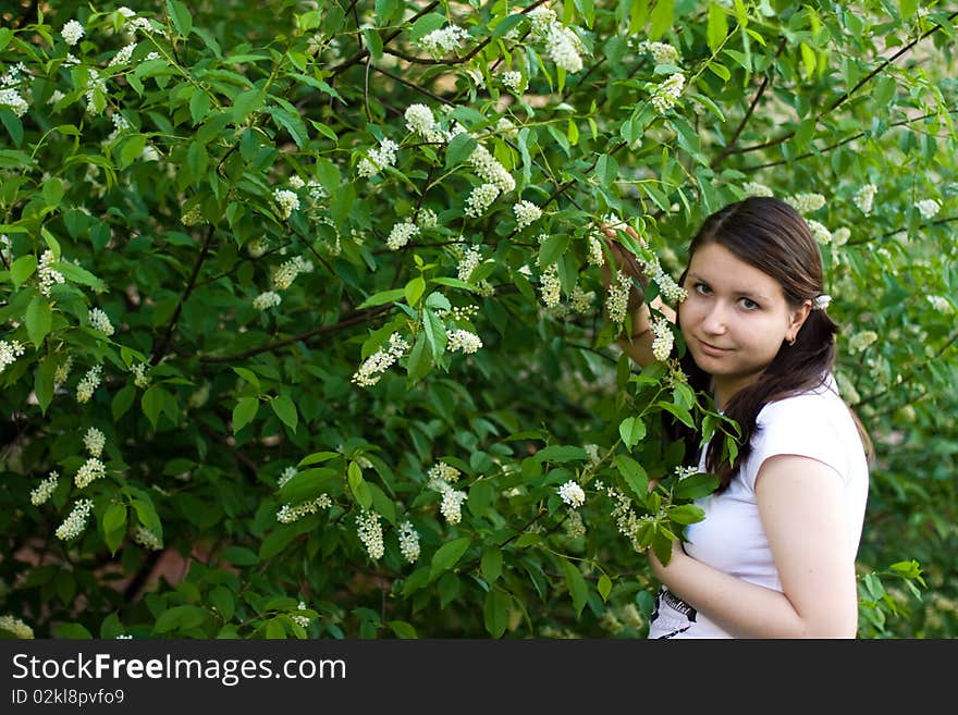 Summer Girl On A Background Of Grass