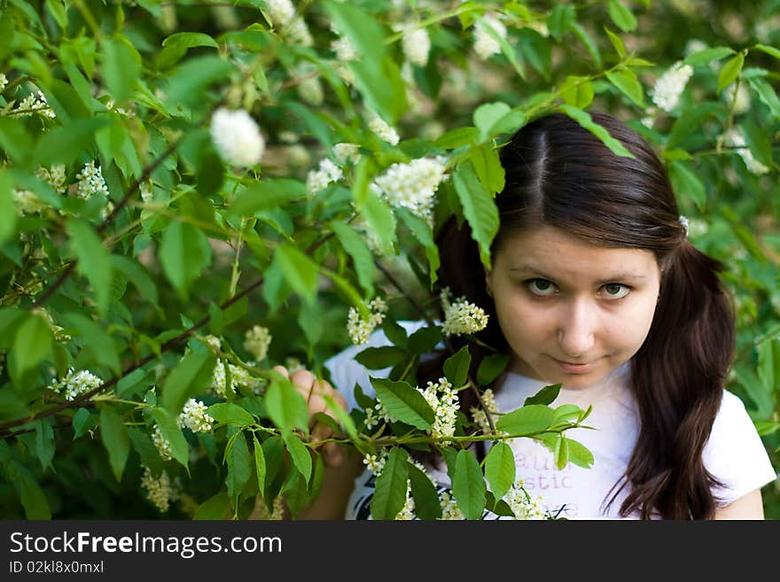 Summer girl against a background of green grass. Summer girl against a background of green grass