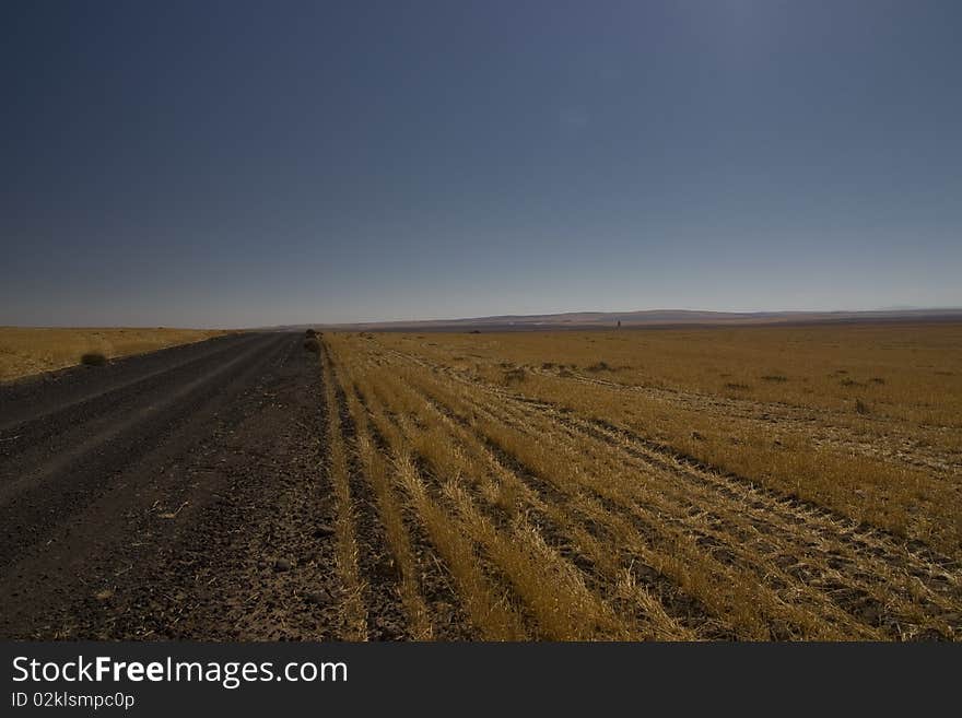 The Trail In The Fields