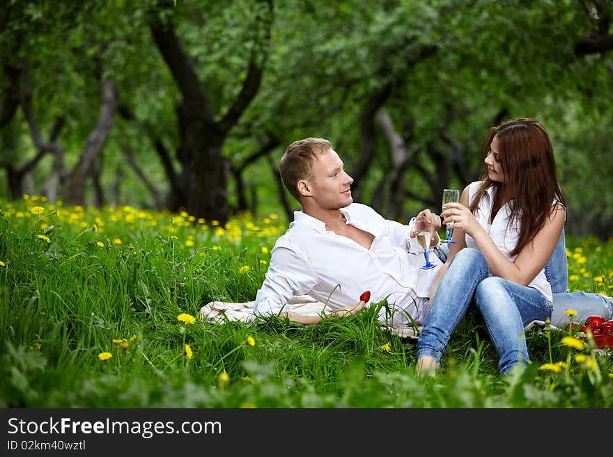 The young couple in park on picnic drinks champagne. The young couple in park on picnic drinks champagne